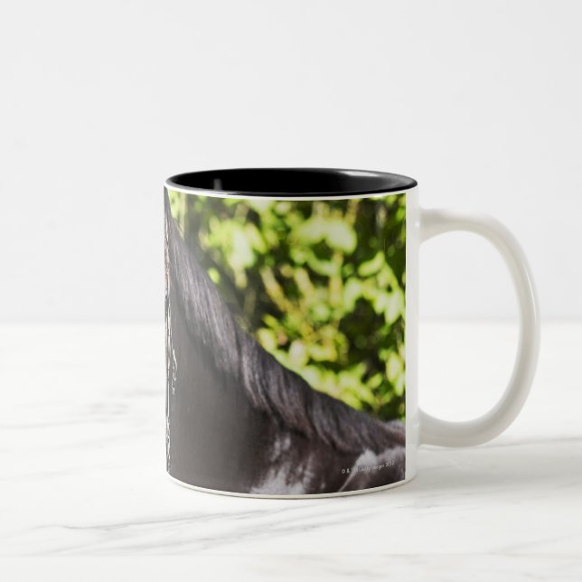 porträtt av brun häst 2 Två-Tonad mugg (Höger)