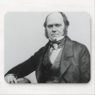 Porträtt av Charles Darwin, 1854 Musmatta