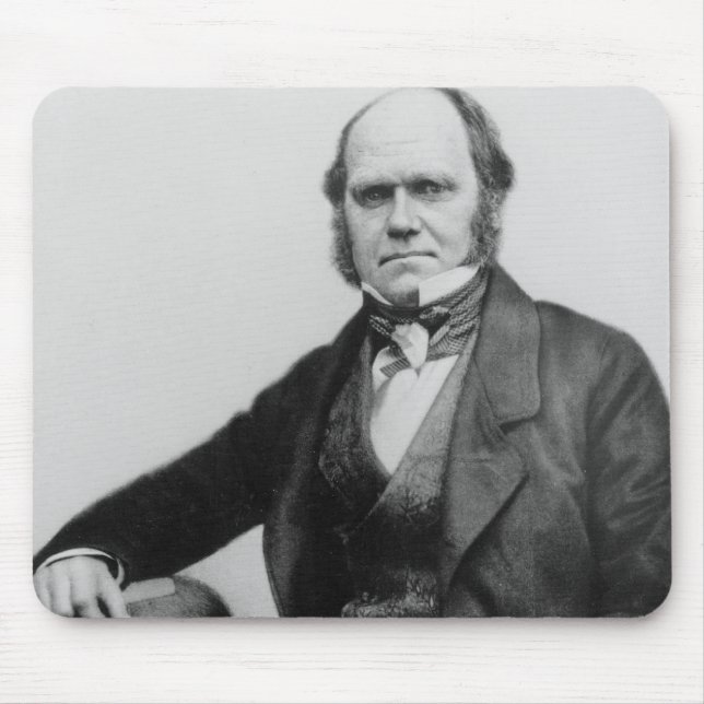 Porträtt av Charles Darwin, 1854 Musmatta (Framsidan)