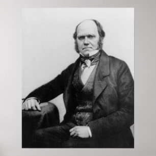 Porträtt av Charles Darwin, 1854 Poster