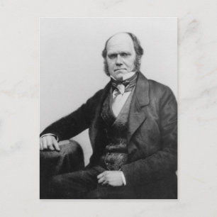 Porträtt av Charles Darwin, 1854 Vykort