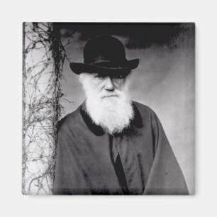 Porträtt av Charles Darwin 1881 Magnet