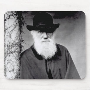 Porträtt av Charles Darwin 1881 Musmatta