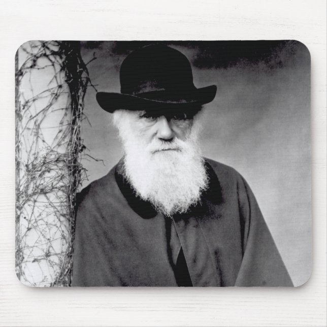 Porträtt av Charles Darwin 1881 Musmatta (Framsidan)