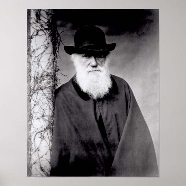 Porträtt av Charles Darwin 1881 Poster (Framsidan)