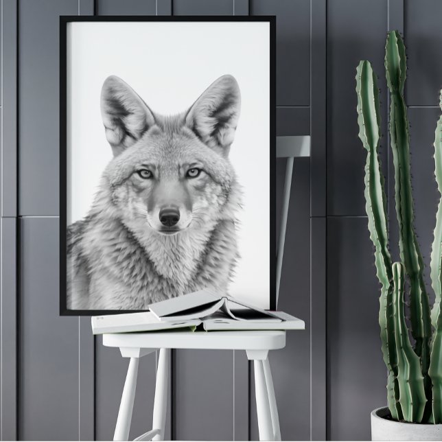 Porträtt av coyotehuvud Svart vitt Poster (Skapare uppladdad)