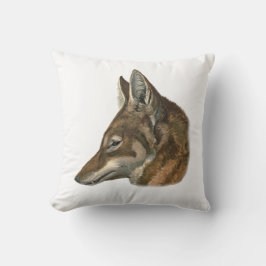 Porträtt av den Abyssinian vargen Kudde