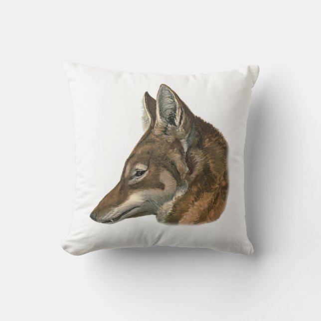 Porträtt av den Abyssinian vargen Kudde (Framsida)