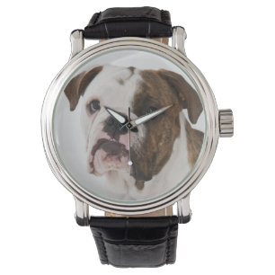 Porträtt av den gulliga bulldoggvalpen armbandsur