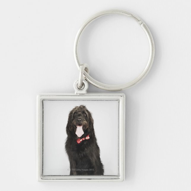 Porträtt av den Labradoodle hunden Fyrkantig Silverfärgad Nyckelring (Framsidan)