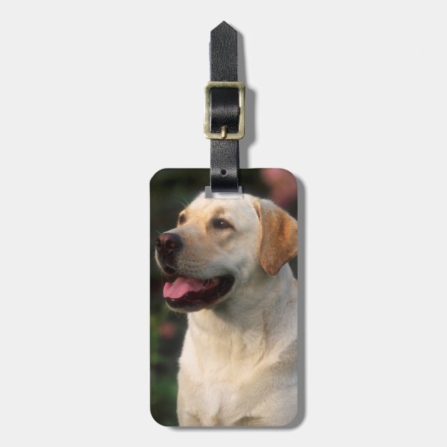Porträtt av den Labrador retrieveren, Hilton Bagagebricka (Vertikal Framsida)