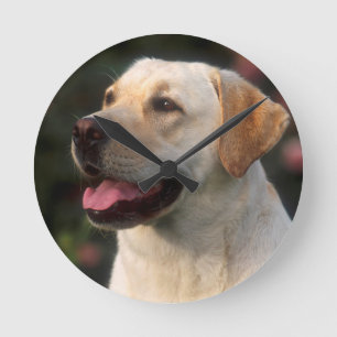 Porträtt av den Labrador retrieveren, Hilton Rund Klocka