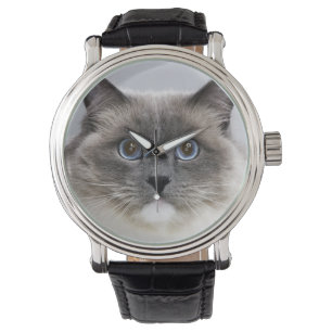 Porträtt av den Ragdoll katten Armbandsur