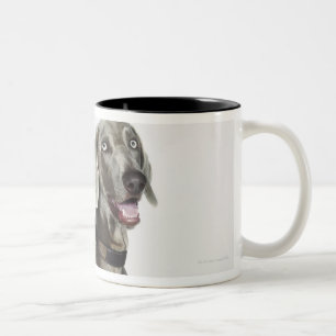 Porträtt av den Weimaraner hunden Två-Tonad Mugg