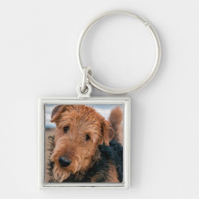 Porträtt av en airedale terrier fyrkantig silverfärgad nyckelring (Framsidan)