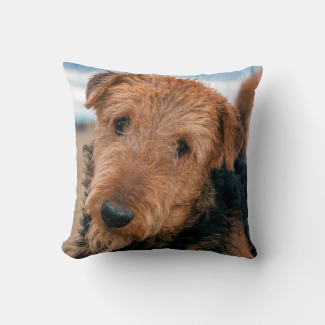 Porträtt av en airedale terrier kudde (Framsida)