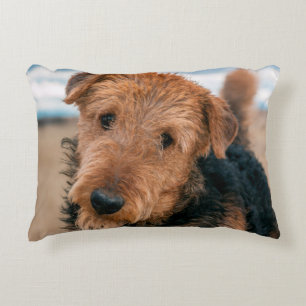 Porträtt av en Airedale Terrier Prydnadskudde