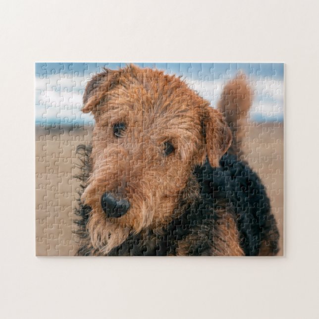Porträtt av en Airedale Terrier Pussel (Horisontell)