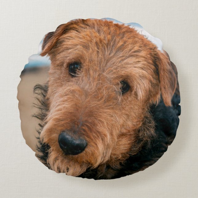Porträtt av en airedale terrier rund kudde (Framsidan)