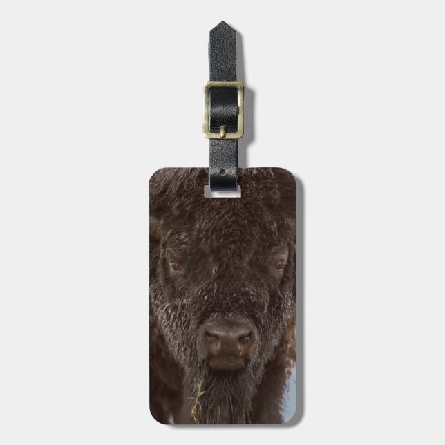 Porträtt av en bison-tjur i regnet bagagebricka (Vertikal Framsida)
