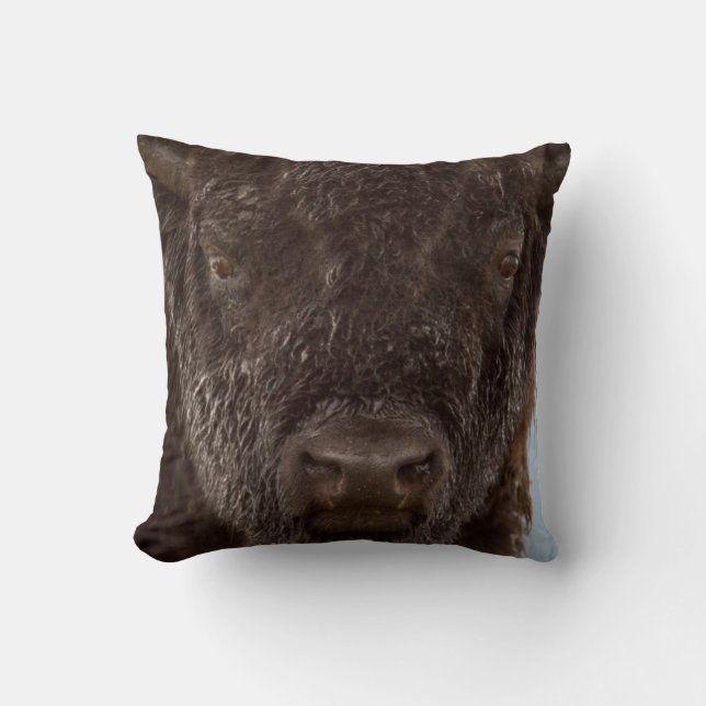 Porträtt av en bison-tjur i regnet kudde (Framsida)