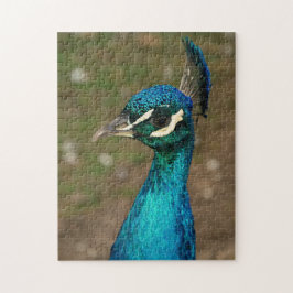 Porträtt av en blå påfågel pussel