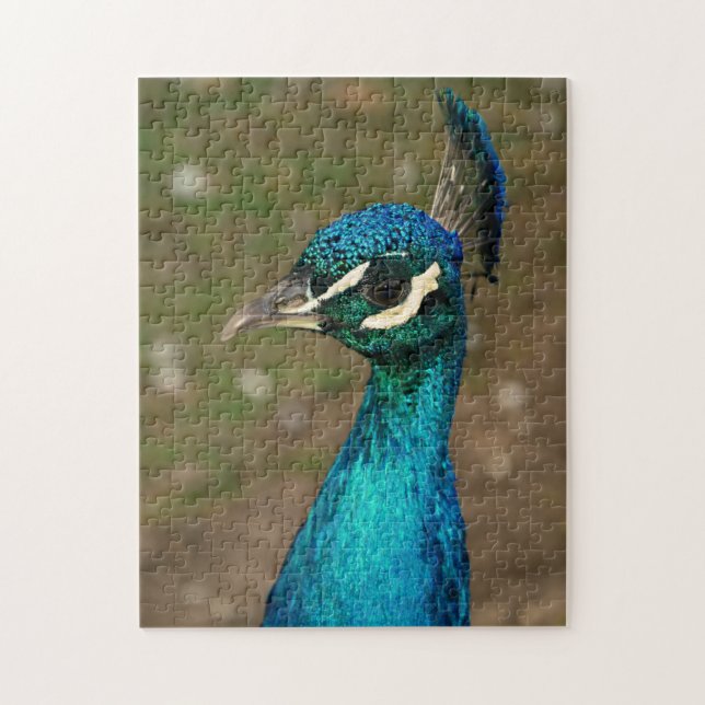 Porträtt av en blå påfågel pussel (Vertikal)