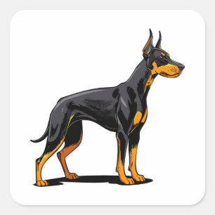 Porträtt av en Doberman-hund framifrån Fyrkantigt Klistermärke