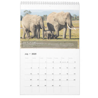 Porträtt av en elefants livslängd kalender