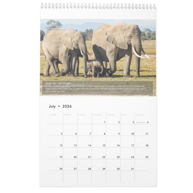 Porträtt av en elefants livslängd kalender (Jul 2026)