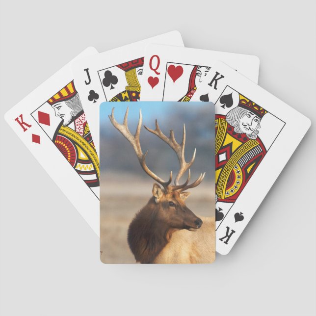 Porträtt av en fantastisk tjurälg casinokort (Baksidan)