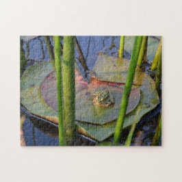 PORTRÄTT AV EN GRODA PUSSEL