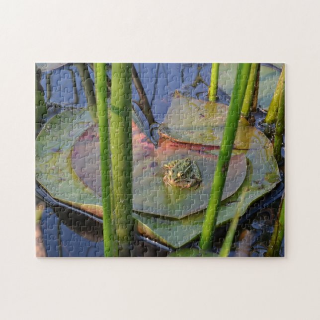 PORTRÄTT AV EN GRODA PUSSEL (Horisontell)