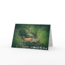 Porträtt av en hjortfamilj