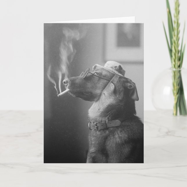 Porträtt av en hund, 1923 kort (Framsida)