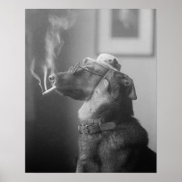Porträtt av en hund, 1923. Ursprunglig foto Poster