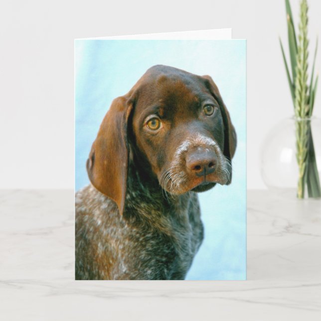 Porträtt av en hund helgkort (Framsida)