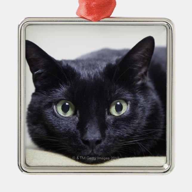 Porträtt av en katt julgransprydnad metall (Framsidan)