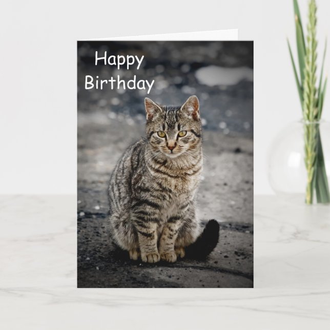 Porträtt av en katt kort (Framsida)