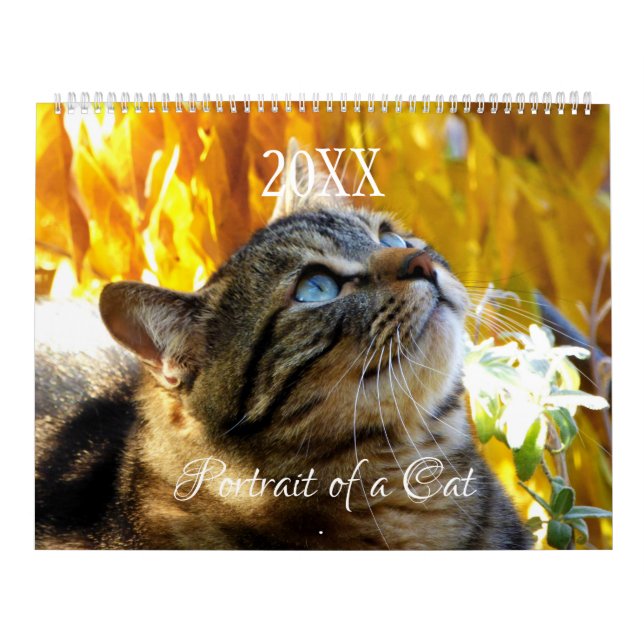 Porträtt av en kattkalender - HAMbyWG Kalender (Omslag)