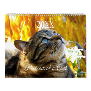Porträtt av en kattkalender - HAMbyWG Kalender