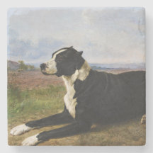 Porträtt av en mastiff labradorhund (Rosa Bonheur)