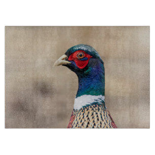 Porträtt av en pheasant
