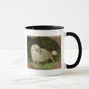 Porträtt av en pudel mugg