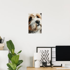 Porträtt av en shih-doodle hund poster