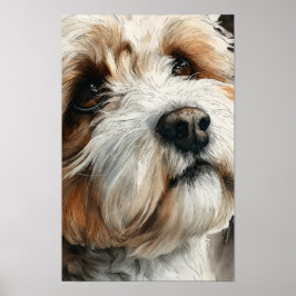 Porträtt av en shih-doodle hund poster
