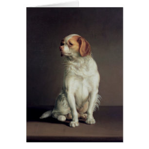 Porträtt av en Spaniel för kung Charles Hälsningskort