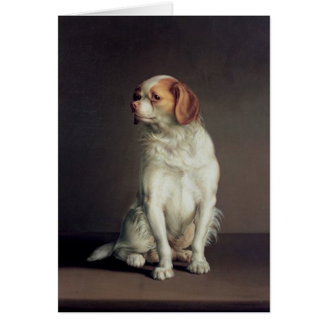 Porträtt av en Spaniel för kung Charles Hälsningskort (Framsidan)