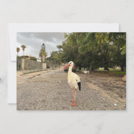 Porträtt av en stork julkort