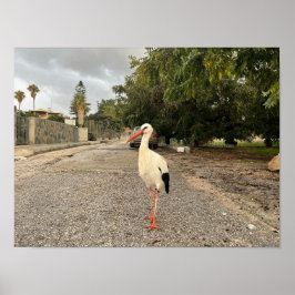 Porträtt av en stork poster